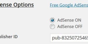 AdSense Publisher ID