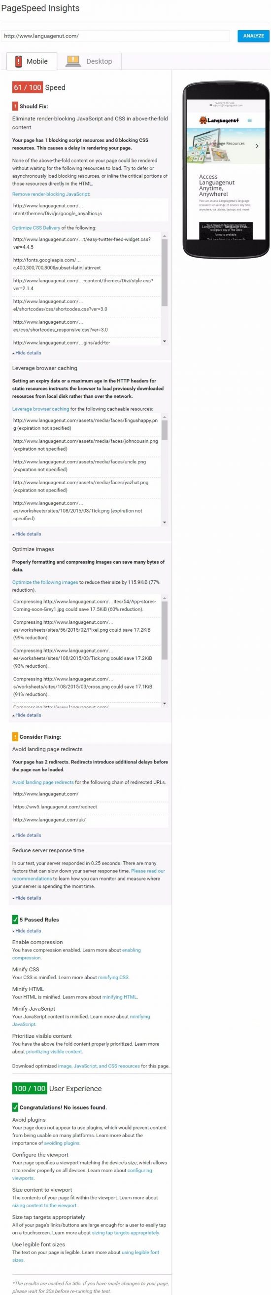 Google PageSpeed Insights Mobile Results Full