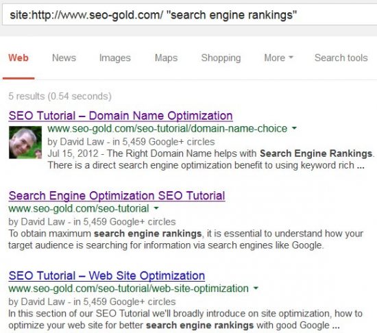 Google Site Search Exact Match