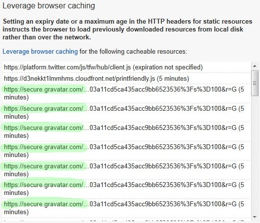 Leverage Browser Caching