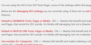 Stallion Responsive All In One SEO Pack Plugin Warnings