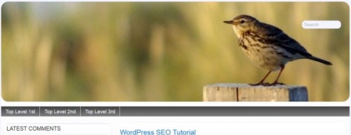 WordPress Header Image