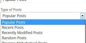 WordPress Popular Posts Widget Options